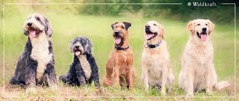 ...für Tiere Naturprodukte für Tiere